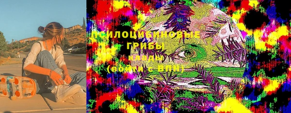 прущие крисы Абаза